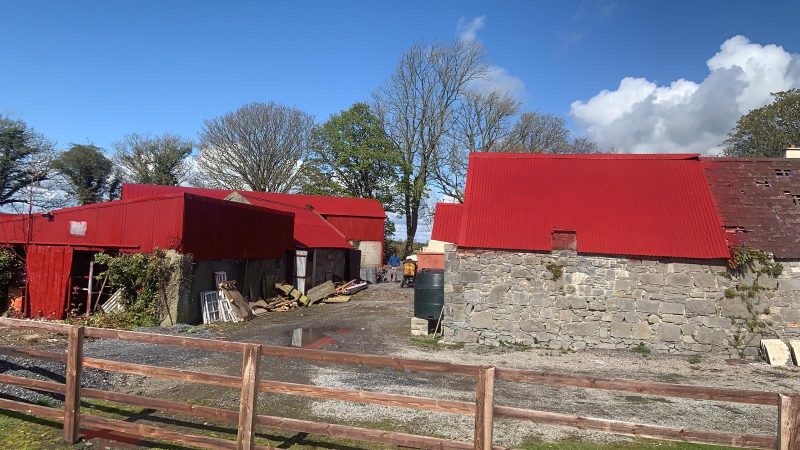 Agricultural buildings painted in Passage East
