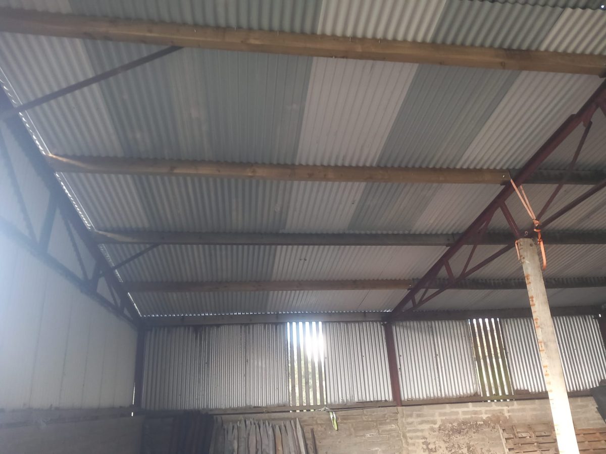 shed farm painting Ballinroad