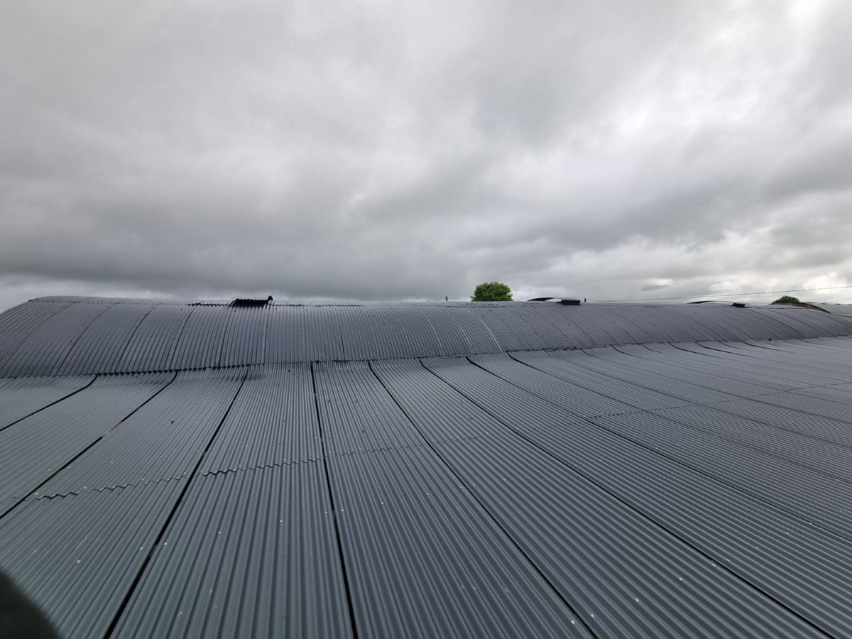 farm painters Dunhill